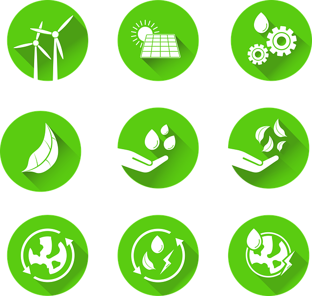 Warsztaty: energia odnawialna