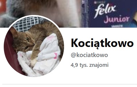 #Kociątkowo