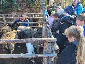 Dzieci oglądające owce i jagnię przez drewniane ogrodzenie zagrody.