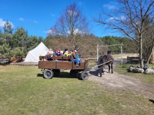 Dzieci i opiekunowie jadący konną bryczką po terenie zagrody.